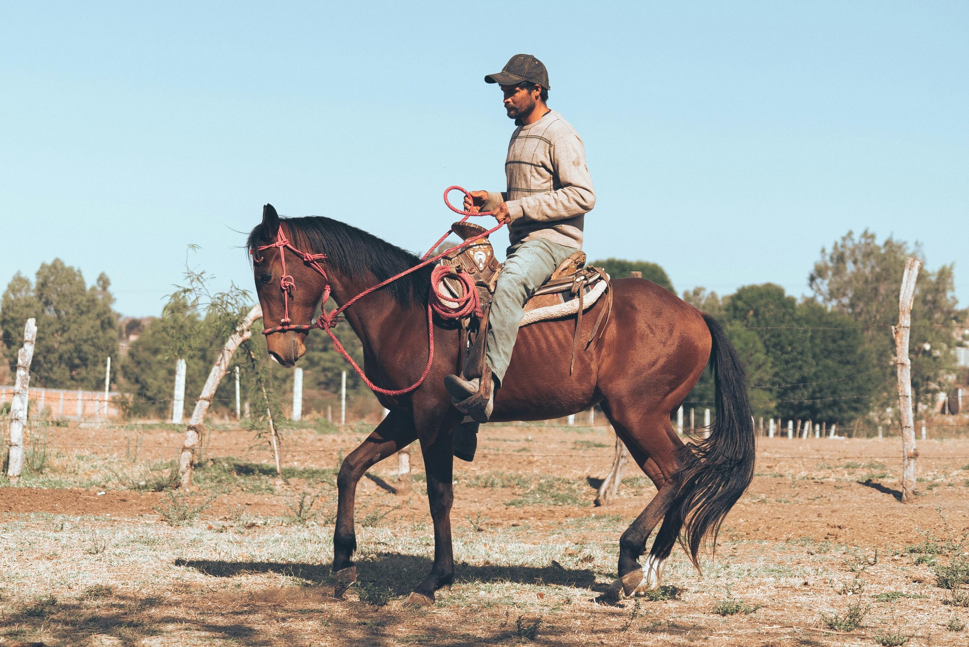 Gearing Up for the Ride: Getting Ready for Horseback Riding in Puerto Escondido