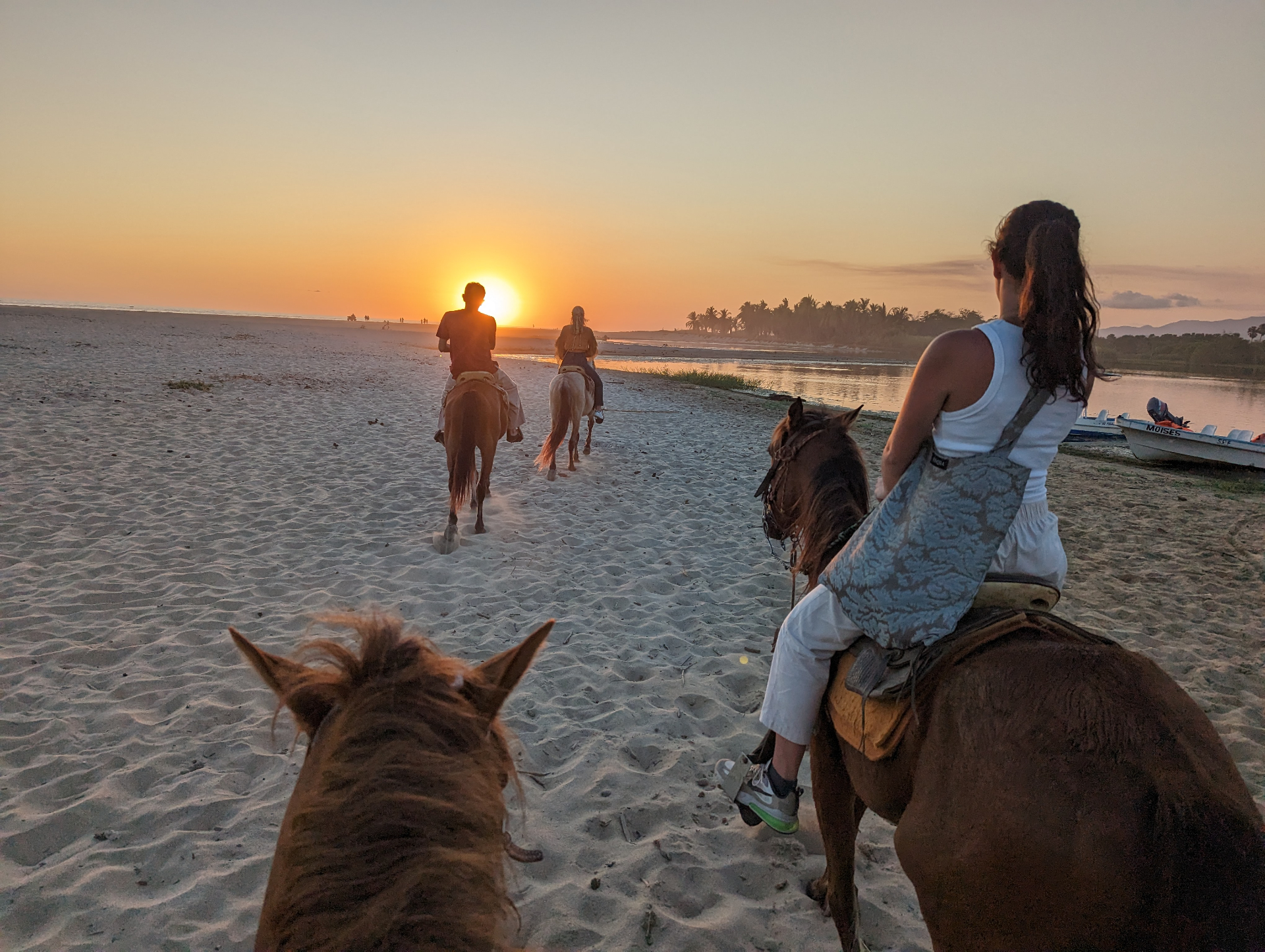 Ready to Ride: Practical Tips for Horseback Riding in Puerto Escondido
