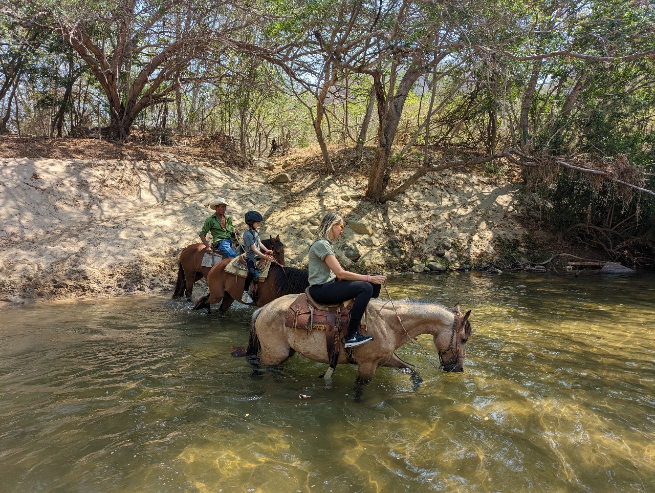 Tour a caballo a aguas termales